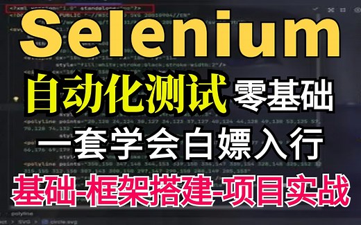 Selenium自动化测试从入门到精通速成教程，一套介绍掌握Selenium核心技能应用 元素定位，学完白嫖入行！
