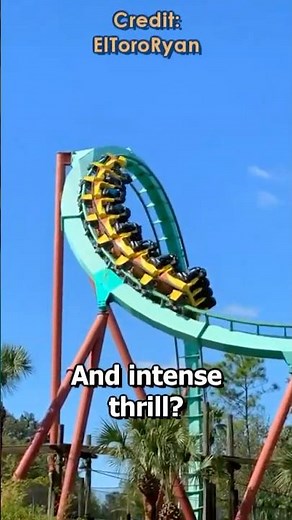 Is Montu OR Kumba the Best LOOPING COASTER at Busch Gardens Tampa?