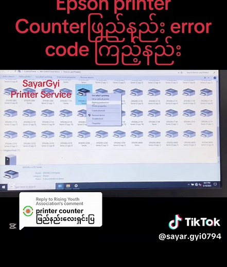 Epson Printer Counter Reset & Error Code Guide