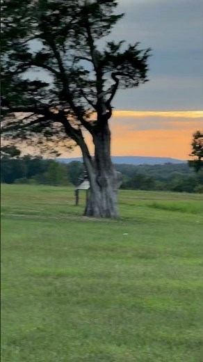 What REALLY Happened Here? Exploring Manassas Battlefield #scarystories #explore
