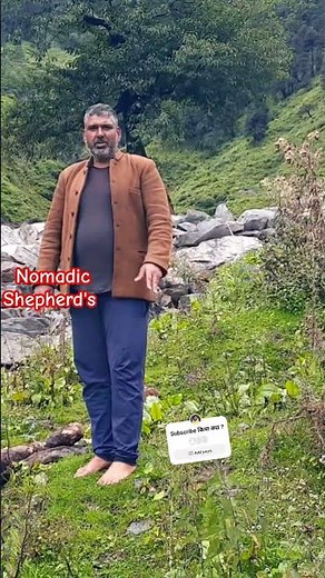 NOMADIC SHEPHERD'S LIFE IN HIMALAYAS #himachal #nomadic
