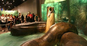 Titanoboa Was The 50-Foot Prehistoric Snake Of Nightmares