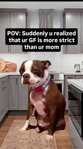 Evil Dog Daily Memes: Dark and Sarcastic Humor