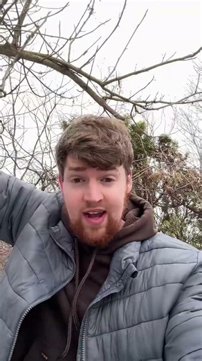 My Swimming Pool is SOLID Ice