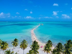 Maragogi: como chegar, o que fazer, praias e mais dicas  - Viagem - Diário do Nordeste