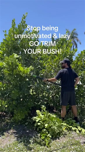 Don’t wait until you need a chainsaw #gaytiktok #mlm #gardening #yardwork #plantdad