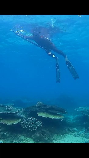 1.6K reactions · 12 shares | HOW DO YOU LOAD YOUR TOY? ME: | Ferrolino Melio | Facebook