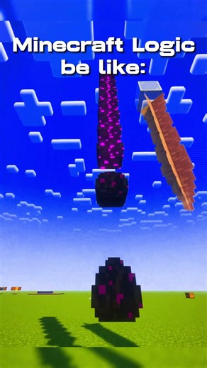 Heaviest Item in Minecraft 🪶?