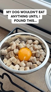 🐶 Personalized dog food for your pup! 🍴 Variety of plans fit for every budget starting at $1.59/meal 🥩 Balanced meals with natural ingredients 💰 Get 50% OFF your first box 20% off free shipping! 🩺 Developed with board-certified vets 📦 Automatically delivered right to your door | Blossom