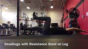 24K views · 210 reactions | Tip: Master the Deadbug Core Exercise Keep your lower back flat. Completely exhale as you lower your legs and arms to the floor. Inhale on the way back up. Keep the non-moving limbs still. Add a band to ramp it up. by Hash Fitness #TnationVideo | Testosterone Nation | Facebook