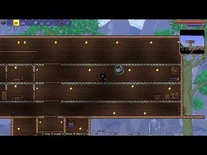 Is This Terrarian Worthy? [Terraria!]