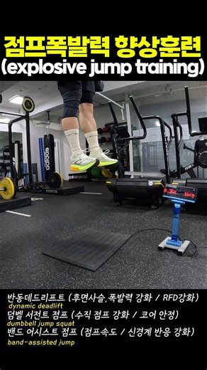 점프 폭발력 향상 훈련 (explosive jump training) #점프력 #jumptraining #체대입시 #제자리멀리뛰기 #제멀