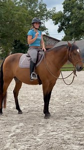 25K views · 822 reactions | ANDY TIPS Les bonnes astuces pour monter son cheval en cordelette feat. Le King  @andy_booth_officiel #equitation #cheval #tips | PonyCorn le blog | Facebook