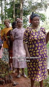 Vous la connaissez peut-être sous le nom de "la femme qui plantait des arbres" ! Wangari Maathai a reçu le prix Nobel de la paix pour son engagement en faveur du développement durable, notamment à travers sa lutte contre la déforestation au Kenya. Elle est la première femme africaine à recevoir ce prix ! | Le Média Positif