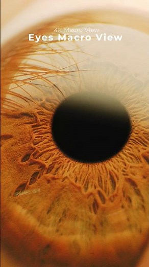 Top Ophthalmologist Reveals Best MACRO View Techniques in 4K