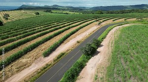Agriculture Field At Country Scene In Rural Landscape Countryside. Harvest Field Environment. Nature Skyline. Scenic Outdoor. Agriculture Field At Country Scene.