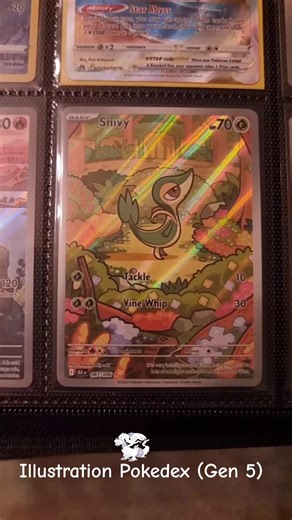 Illustration Pokedex Binder: Gen 5 Cards Showcase