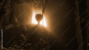 3D CGI reveal of classic Roswell style grey aliens emerging suddenly from behind a tree, ominously silhouetted by a mysterious glaring orange light, in the middle of a dark and eerie forest at night Stock Video