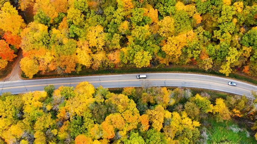 Summer in Otter Tail County, MN is great, but have you ever experienced fall here? This video was produced in 2018 and it is still one of our favorites. Some things have changed since this video was made, but autumn is still a great time to #FindYourInnerOtter #fallvibes #lakelife #roadtrip #ottertailcounty #Minnesota #onlyinmn | Otter Tail Lakes Country