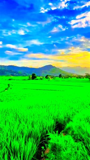 CapCut Colour Grading 🔥 #capcuttutorial #editingtutorial #capcut #short #ytshorts