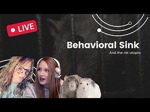 Rat Utopia & the behavioral sink experiment