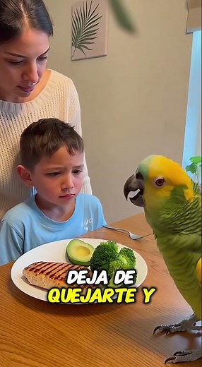 Este Loro Le Da Una Lección De Vida A Un Niño 🍗🦜