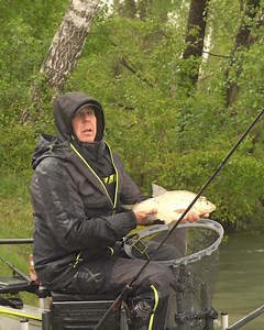 3.7K views · 59 reactions | JETZT ONLINE! Folge 3 unserer Knockout Challenge ist jetzt auf Youtube verfügbar. Gruppe B gibt in der ersten Halbzeit Alles! #angeln #fishing #matrixfishing | Fish Matrix | Facebook