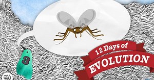 Be Smart:Have We Ever Seen Evolution Happen - 12 Days of Evolution #3 Season 4 Episode 5