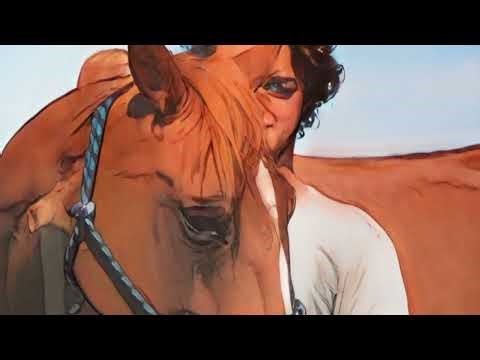 Le vrai prix d’un cheval(personne ne te le dit)