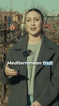 The Future of Smart Farming Is Already Here 🌱 #Shorts