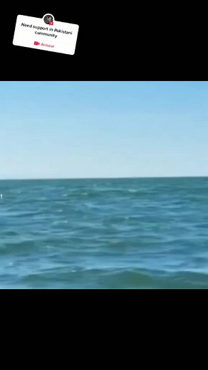 Swimming Safety Tips in Open Water