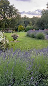 My garden tells many stories. Stories of loss and grief, but also stories of love, joy and belonging. When I moved to the UK from Poland 18 years ago, I wasn’t going to stay for that long, but it kind of happened and this is now ‘my home’. It’s lovely to share my stories with YOU 🥰 I would like to thank you All for being here. You helped me find purpose and I’ll be forever grateful. There’s so much more I would like to share with you and THANK YOU again for all your lovely messages and support.