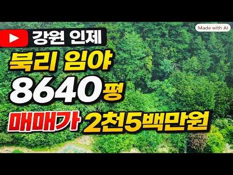 강원 인제 북리 임야 8640평 2천5백만원