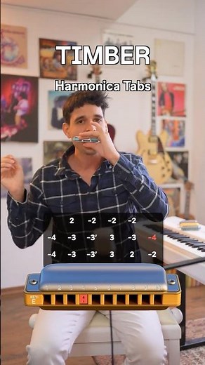 TIMBER - Harmonica Tutorial - E harp