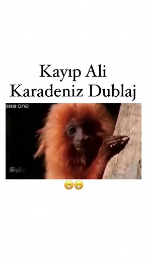 Karadeniz Paylaşımları on Instagram: "Neredu Ali? 😅 🎬 @yildir.im"