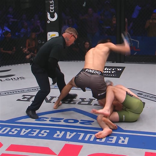 123K views · 1.6K reactions | 헩헢헟헨헠험 헨헣 for the best viewing experience What finish had you like this 勞 Let's hear it  | PFL MMA | Facebook