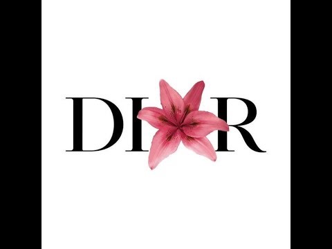 First video! (Sorry about the bad quality - u may need to refresh if its not loading correctly)