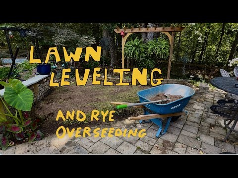 Lawn Leveling and Overseeding Made Simple: Smooth Out Bumps and Dips Fast