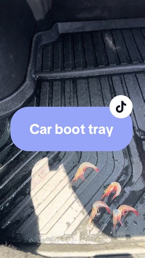 Essential Car Boot Tray: Your Ultimate Organization Tool