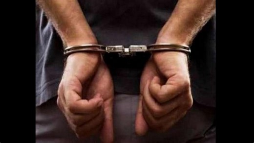 नागपूर : दारूच्या नशेत अजगराला निर्घृणपणे ठार करणाऱ्या तरुणाला अटक