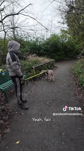 Meet Rocco: The Unique Bulldog Who Prefers Humans