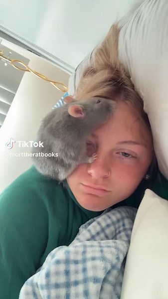 Rat Pet's Unlikely Love: The Moisturizer Mystery