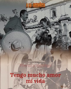 Serenatas, besos, flores y cartitas🎶 🎥 https://youtu.be/hvNwhGDe1HM | Calibre 50