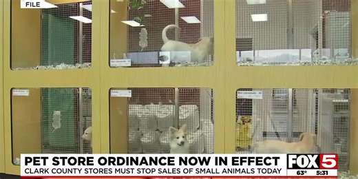 Pet store ordinance now in effect