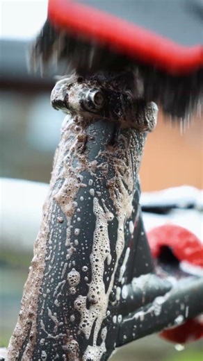 🍊 The Perfect Combo 🍋‍🟩