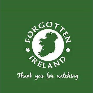 ☘ The Irish dancing Parrot 🇮🇪