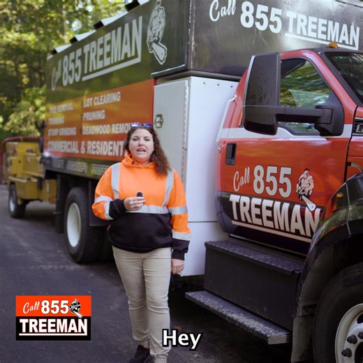 Get $8,000 to $10,000 of tree work at half the price. Do you have a long list of work you need done but can’t afford to do it all at once? - Hire a crew from 8am-1pm with unlimited equipment for a fixed price. - ⁠Create a priority list during the consultation, then watch as the crew completes each priority with lightning speed. - Full satisfaction guarantee – You don't make the final payment until you’re 100% satisfied! Contact 855-TREEMAN today and take advantage of these unbeatable savings! Sa