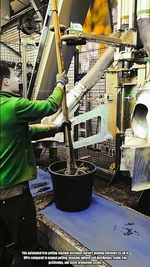 Best Innovation Tree Potting Machine: How to Automate Nursery Planting