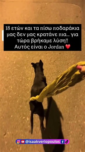 Ο σκύλος γέρασε αλλα έχει βοήθεια και αγάπη #voiceover #isaakveriopoulos #pets #funny #memes #animal