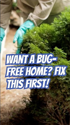 Get Rid of Pests at the Source with these Sanitation Tips